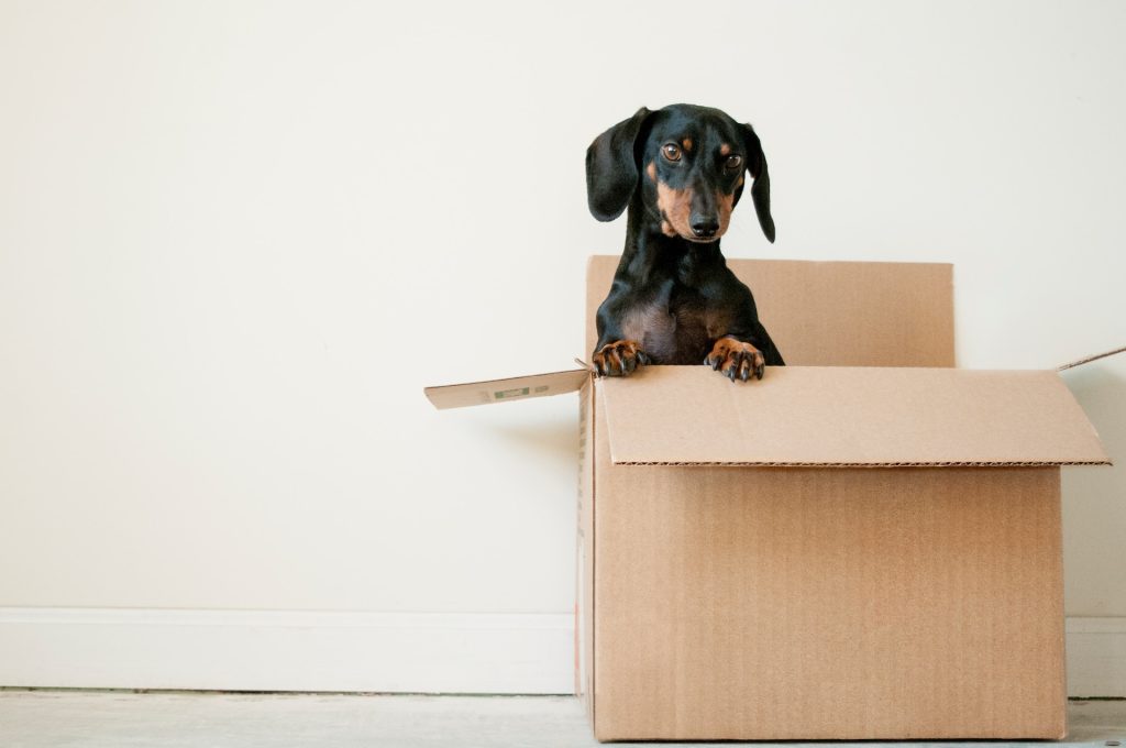 Emotional Aspects of Moving: Navigating the Transition with Ease